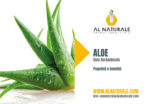 aloe-vera-benefici